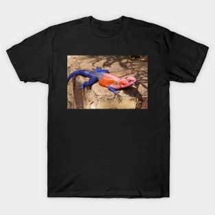 East African Rainbow Agama, Male T-Shirt